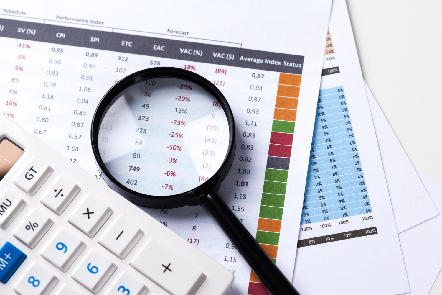 Bespoke Auditing